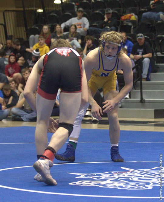 Nortons Kolton Field 2